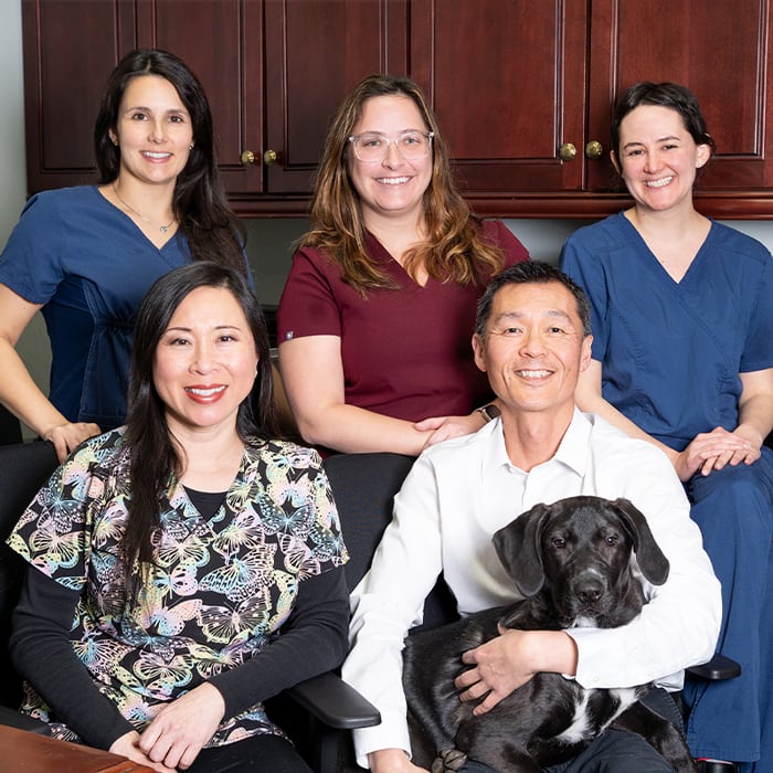 Deer Park Animal Hospital in Deer Park