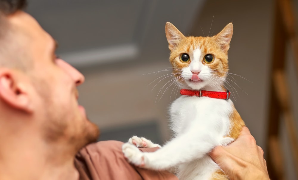 Deer Park Animal Hospital